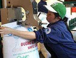 Cần một nghị định về sản xuất và tiêu thụ mía đường