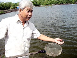Ông Nguyễn Văn Đức, ấp 3, xã Long Thọ (huyện Nhơn Trạch) kiểm tra tôm nuôi quảng canh mới thả giống.