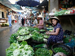 Giá rau liên tục tăng cao