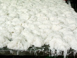 Xử lý thêm 2 cơ sở sản xuất bún, bánh phở chứa hóa chất