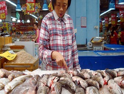Một phụ nữ đang chọn cá trong siêu thị ở TP Tô Châu, Trung Quốc