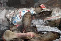 Nghi ngờ về đường dây kinh doanh thịt thối Bắc-Nam