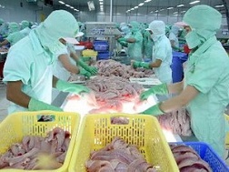 Hoa Kỳ lại áp thuế cao với cá tra, cá basa Việt Nam