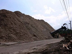 Thiếu nguyên liệu, nhiều nhà máy chế biến dăm gỗ hoạt động cầm chừng 