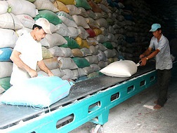 Thương hiệu gạo Việt Nam phải do DN tạo ra