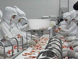 Sẽ thành lập sàn đấu giá thủy sản Việt Nam tại Bỉ