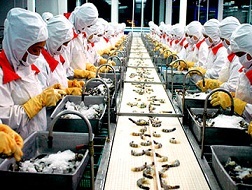 Rộng đường xuất khẩu tôm vào Mỹ