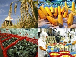 Xuất khẩu nông sản tháng 9 đạt gần 2,4 tỷ USD