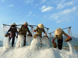 Đã phân giao nhập khẩu 51.000 tấn muối cho doanh nghiệp