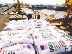 Thị trường phân bón: “Giảm nhiệt” trên toàn thế giới