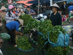 Hà Nội: Mưa bão, rau xanh khan hiếm vì bị găm hàng