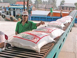 Xuất khẩu gạo: Hướng đến con số 7 triệu tấn