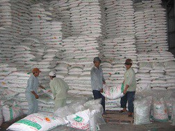 Nguy cơ dư thừa 600.000 tấn đường