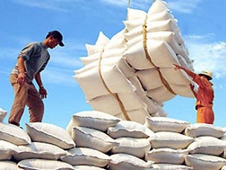 Đã xuất khẩu 5,34 triệu tấn gạo