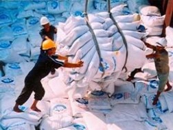 Triển khai Quy hoạch thương nhân kinh doanh xuất khẩu gạo