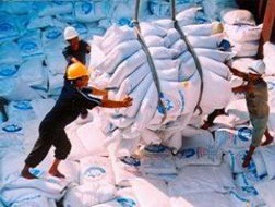 Triển khai Quy hoạch thương nhân kinh doanh xuất khẩu gạo