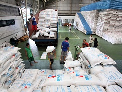 120.000 tấn gạo bán cho Philippines: Liệu có “xuôi chèo”?
