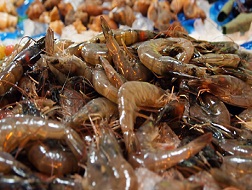 Tôm tươi không còn bán đắt