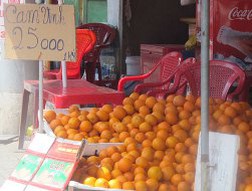 Ngập chợ cam Trung Quốc &ldquo;đội lốt&rdquo; cam Vinh