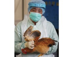 Trung Quốc: Khó chồng khó