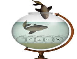 Ngân hàng đầu tư: Cuộc chơi của những "tay to"