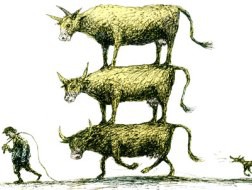 Ngân hàng gia súc: Mô hình độc đáo ở Zimbabwe 