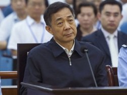 Nguồn tin cho biết có thể Bạc Hy Lai sẽ kháng án. Ảnh: TÂN HOA XÃ