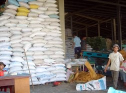 Cần sớm làm rõ trách nhiệm vụ “biến mất” 10.000 tấn gạo