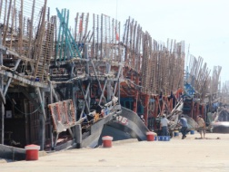  Nhiều tàu câu mực công suất lớn nằm bờ - Ảnh: Hoàng Sơn