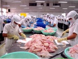 “Phác đồ” điều trị cho doanh nghiệp thủy sản