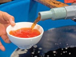 Thị trường nước mắm đang nhiễu thông tin