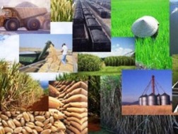 Dự báo giá các mặt hàng thiết yếu tiếp tục tăng