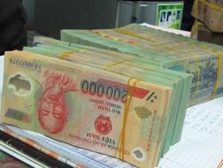 IMF: Việt Nam đã cắt giảm lãi suất quá sớm