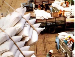 Đề nghị Chính phủ chấn chỉnh công tác xuất khẩu gạo