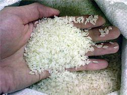 Mua tạm trữ 1 triệu tấn gạo sau kỳ nghỉ tết