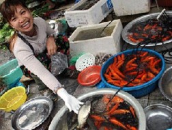 Cá chép cúng ông Táo: Cá giấy lấn át cá sống!