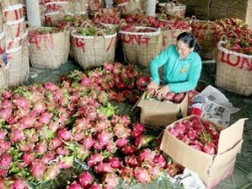 Chợ Đồng Tháp tập kết 200 tấn trái cây Tết mỗi ngày