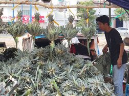 Tấp nập chợ nổi trái cây giữa Sài Gòn