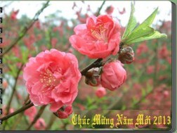 Thư chúc Tết của Bộ trưởng Vương Đình Huệ gửi ngành Tài chính 
