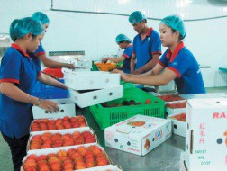 Khó khăn giúp ta tỉnh ngộ nhiều