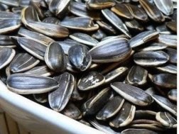Trung Quốc: Hạt hướng dương chứa chất gây teo não