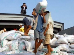 Áp thuế nhập khẩu 6% phân bón NPK có hoặc không bổ sung trung vi lượng 