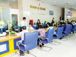 NamABank: Đặt kế hoạch LNTT 400 tỷ đồng, tăng 66% so với năm 2012