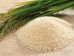Áp lực giảm giá gạo ngày càng lớn