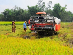 Đề nghị xem xét lại chính sách tạm trữ lúa