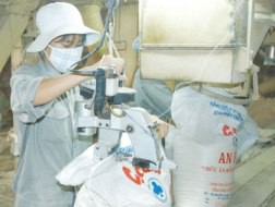 Luẩn quẩn ngành chăn nuôi