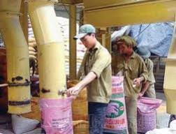 Thanh tra vì sao giá thức ăn chăn nuôi quá cao?