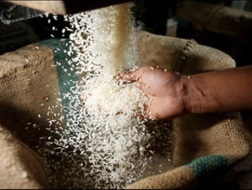 Thái Lan chi tiếp 3,5 tỷ USD mua gạo dự trữ