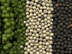 Dự báo sản lượng tiêu năm nay giảm 20%