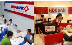HDBank lên tiếng về vấn đề M&A với DaiABank